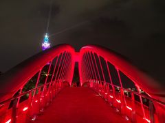 -金鸡山公园