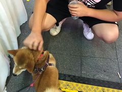 -怂嘴冷锅串串&乐山烧烤(中赢康康谷店)