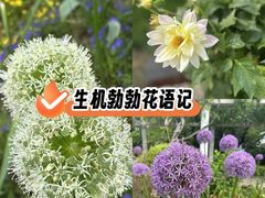 -苏州上方山国家森林公园