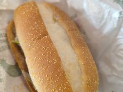 -麦当劳(朝阳北路店)