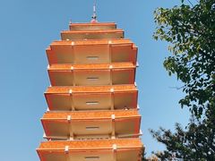 -鹅岭公园瞰胜楼