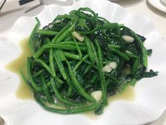 蒜蓉炒菠菜-松花湖水饺(新濠天地店)