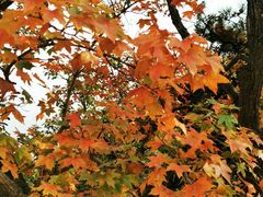 -天津盘山风景名胜区