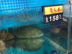 -岛中岛·海鲜大排档·万宁老字号(东澳店)