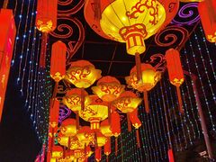 -武汉园博园(武汉自然博物馆)