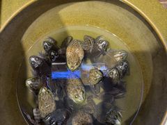 -鸽子窝(宋庄店)