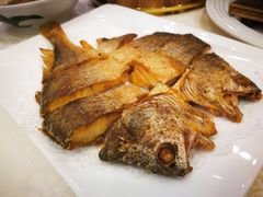 香煎黄花鱼-海晖酒楼·顺德鱼生(荣华店)