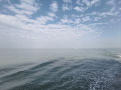 -港珠澳大桥(珠海段)