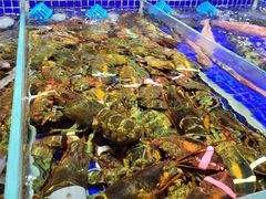 -高佳庄·舟山海鲜(海景旗舰店)