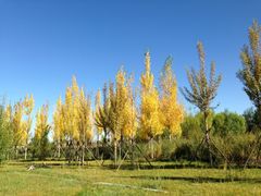 -亿利库布其七星湖沙漠生态旅游区