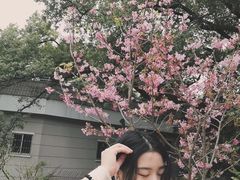 -乌山风景区