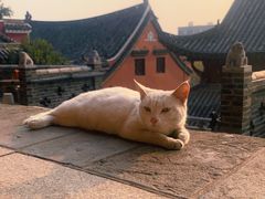 -长春观