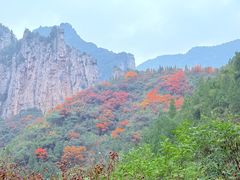 -青龙山生态文化旅游区(慈云寺)