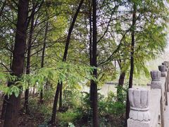 -溱湖国家湿地公园