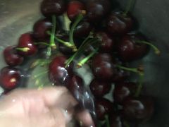 -吉野家(人和香港城店)