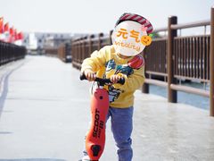 -鹅湖玫瑰文化园