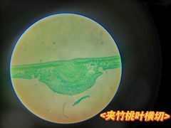 -新华书店(泉城路店)