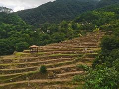 -石台牯牛降景区