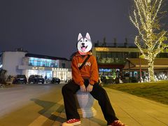 -纽扣NEWKO