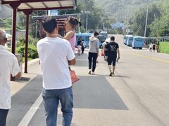 -少华山国家森林公园