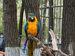 -北京野生动物园