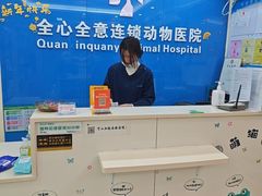-全心全意连锁动物医院·微创中心·内科急重症·心脏专科(丰管路店)