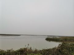 -盐城丹顶鹤湿地生态旅游区