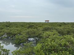 -北海金海湾红树林生态旅游区