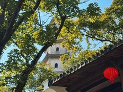 -江心屿景区