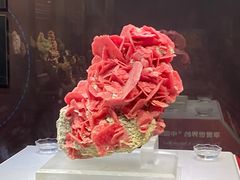 -湖南省地质博物馆