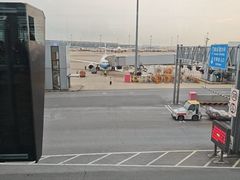 -上海浦东国际机场-T2航站楼