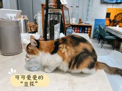 -玫瑰咖啡(中山六路店)