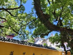 -普陀山慧济禅寺