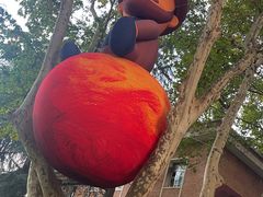 -西安电影制片厂