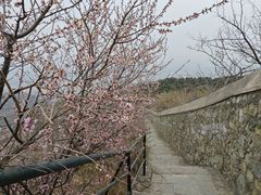 -香山公园