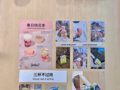 -Seesaw Coffee(武商MALL·武广店)