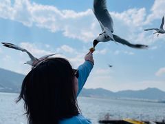 -滇池海埂公园