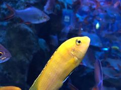 -成都浩海立方海洋公园