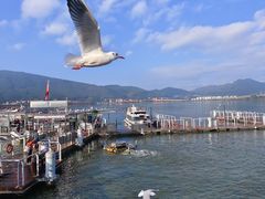 -海埂大坝