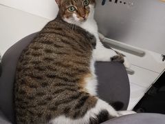 -ID.PHOTO照相馆(嘉里企业中心店)