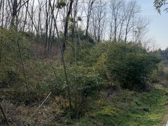 -雪山彩虹谷景区