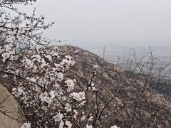-北京凤凰岭