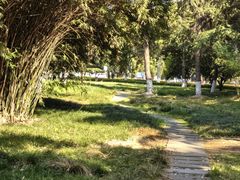 -中央公园(苏州工业园区)