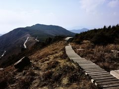 -白草畔自然风景区