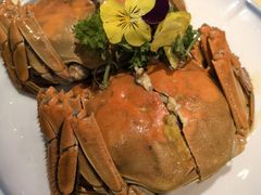 -杨氏青龙虾·羊蝎子(珠江路店)