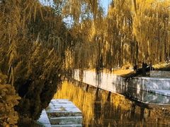 -元大都城垣遗址公园