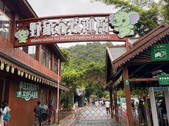-野象谷景区