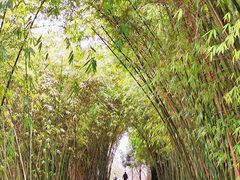 -贵阳市花溪国家城市湿地公园