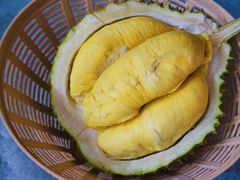 -都念榴莲·城市榴莲