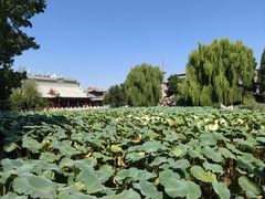 -莲池书院博物馆